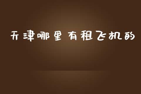 天津哪里有租飞机的_https://m.letulww.com_期货交易策略_第1张