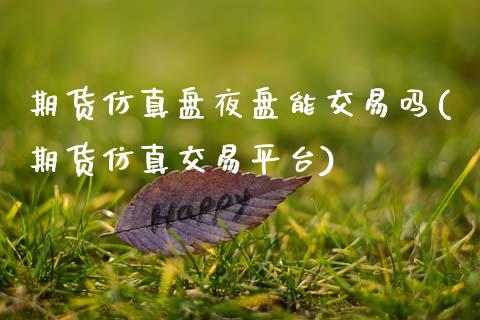 期货仿真盘夜盘能交易吗(期货仿真交易平台)_https://m.letulww.com_期货交易软件_第1张