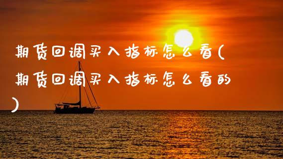 期货回调买入指标怎么看(期货回调买入指标怎么看的)_https://m.letulww.com_期货交易策略_第1张