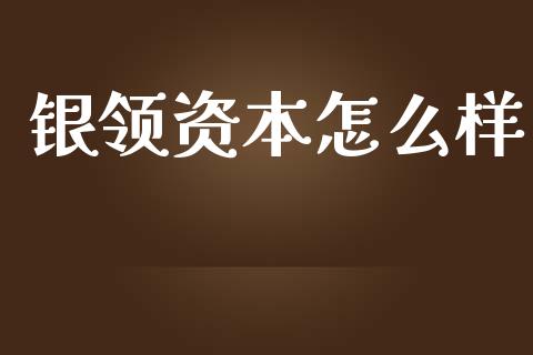 银领资本怎么样_https://m.letulww.com_期货交易软件_第1张