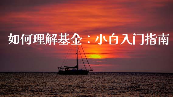 如何理解基金：小白入门指南_https://m.letulww.com_期货开户保证金_第1张