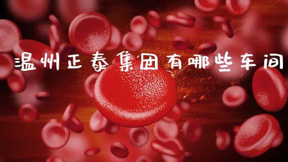 温州正泰集团有哪些车间_https://m.letulww.com_期货交易软件_第1张