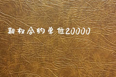 期权合约单位20000_https://m.letulww.com_股指期货交易时间_第1张