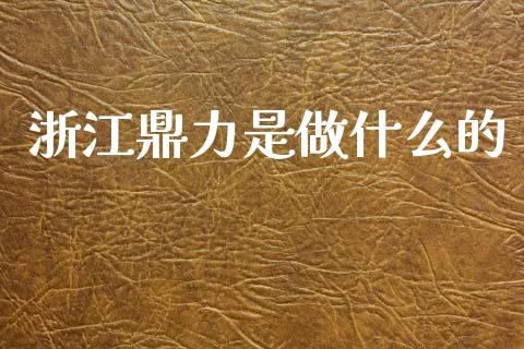浙江鼎力是做什么的_https://m.letulww.com_股指期货交易时间_第1张