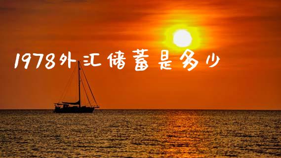 1978外汇储蓄是多少_https://m.letulww.com_期货开户保证金_第1张
