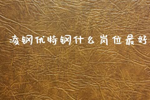 凌钢优特钢什么岗位最好_期货开户保证金_第1张_期货开户保证金_期货交易软件_股指期货交易时间_期货交易策略 凌钢优特钢什么岗位最好_https://m.letulww.com_期货开户保证金_第1张