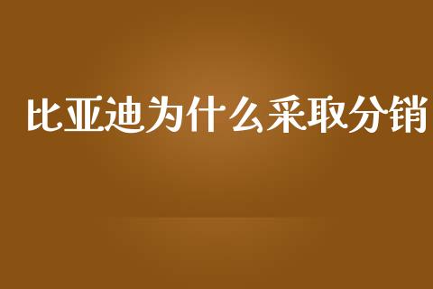 比亚迪为什么采取分销_https://m.letulww.com_期货交易策略_第1张