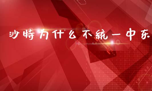 沙特为什么不统一中东_https://m.letulww.com_期货交易软件_第1张