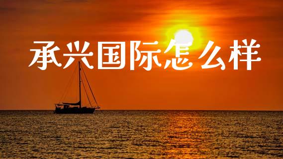 承兴国际怎么样_https://m.letulww.com_期货交易软件_第1张