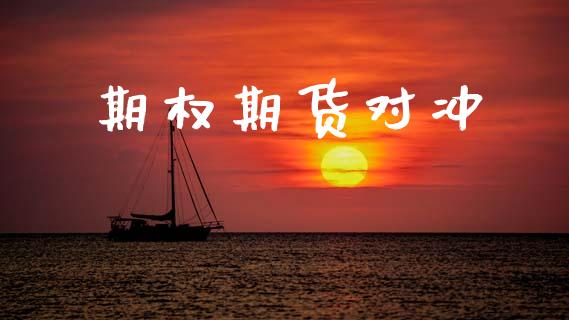 期权期货对冲_https://m.letulww.com_期货交易策略_第1张