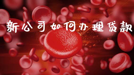 新公司如何办理贷款_https://m.letulww.com_期货开户保证金_第1张