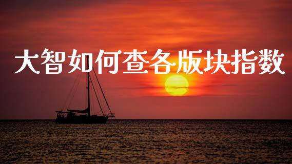 大智如何查各版块指数_https://m.letulww.com_期货交易策略_第1张