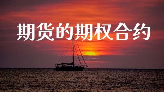 期货的期权合约_https://m.letulww.com_期货交易策略_第1张