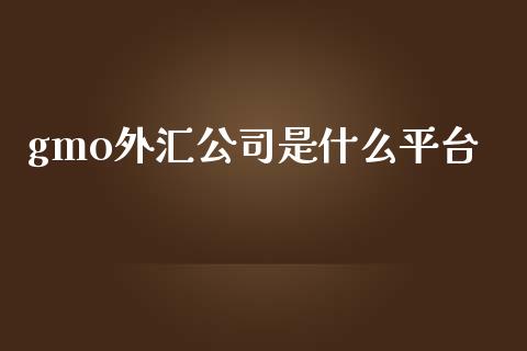 gmo外汇公司是什么平台_https://m.letulww.com_期货开户保证金_第1张