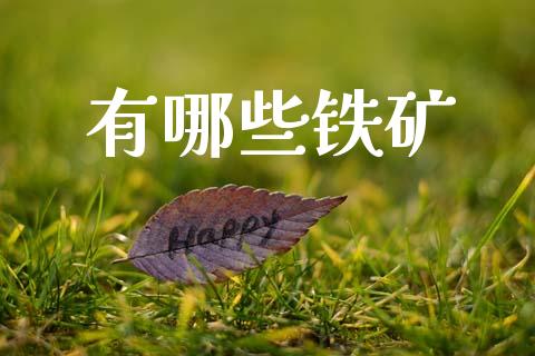 有哪些铁矿_https://m.letulww.com_期货交易软件_第1张