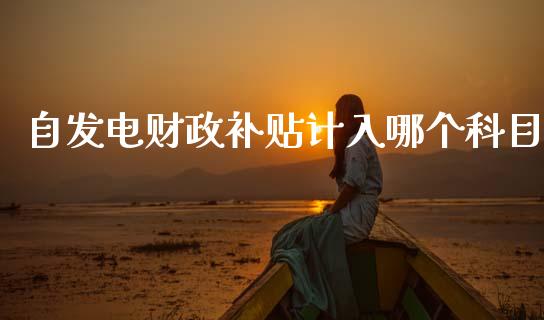 自发电财政补贴计入哪个科目_https://m.letulww.com_期货开户保证金_第1张
