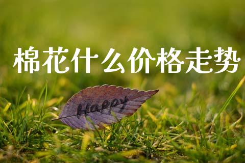 棉花什么价格走势_https://m.letulww.com_期货开户保证金_第1张