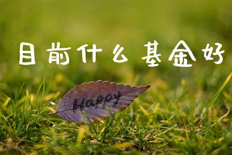 目前什么基金好_https://m.letulww.com_股指期货交易时间_第1张