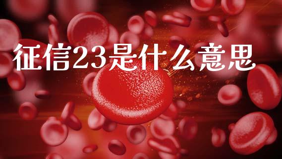征信23是什么意思_https://m.letulww.com_期货交易策略_第1张