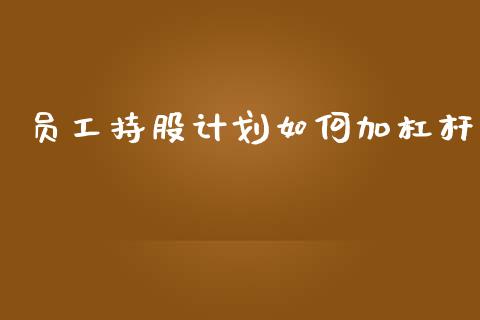 员工持股计划如何加杠杆_https://m.letulww.com_期货开户保证金_第1张