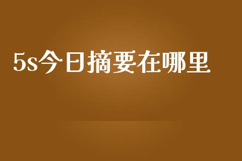 5s今日摘要在哪里_https://m.letulww.com_期货交易软件_第1张