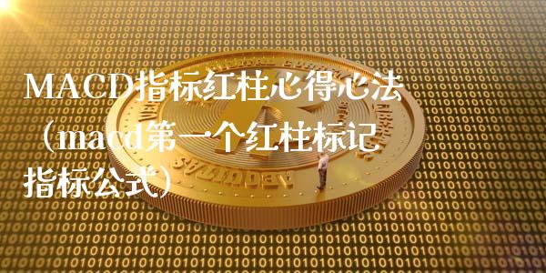 MACD指标红柱心得心法（macd第一个红柱标记指标公式）_https://m.letulww.com_股指期货交易时间_第1张