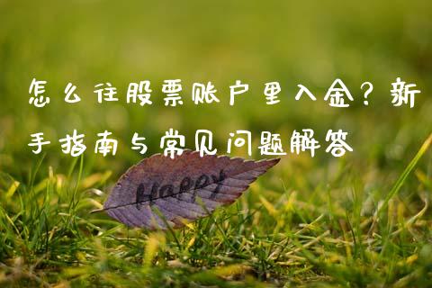 怎么往股票账户里入金?新手指南与常见问题解答_期货交易软件_第1张_期货开户保证金_期货交易软件_股指期货交易时间_期货交易策略 怎么往股票账户里入金?新手指南与常见问题解答_https://m.letulww.com_期货交易软件_第1张