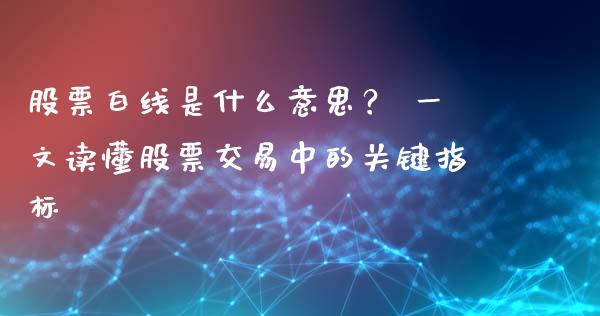 股票白线是什么意思？ 一文读懂股票交易中的关键指标_https://m.letulww.com_期货交易软件_第1张