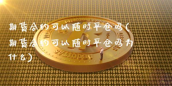 期货合约可以随时平仓吗(期货合约可以随时平仓吗为什么)_https://m.letulww.com_股指期货交易时间_第1张