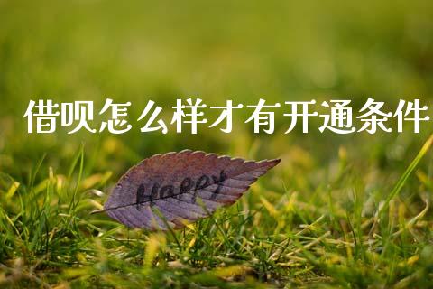借呗怎么样才有开通条件_https://m.letulww.com_期货开户保证金_第1张
