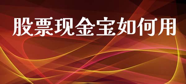 股票现金宝如何用_https://m.letulww.com_期货交易策略_第1张