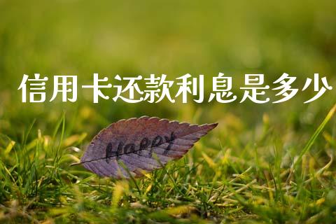 信用卡还款利息是多少_https://m.letulww.com_期货交易策略_第1张