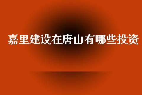 嘉里建设在唐山有哪些投资_https://m.letulww.com_期货开户保证金_第1张