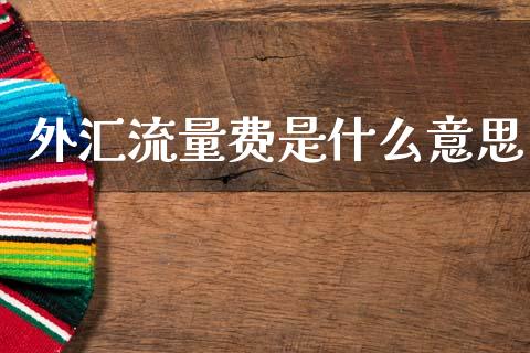 外汇流量费是什么意思_https://m.letulww.com_股指期货交易时间_第1张