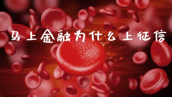 马上金融为什么上征信_https://m.letulww.com_股指期货交易时间_第1张