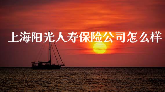 上海阳光人寿保险公司怎么样_https://m.letulww.com_期货交易策略_第1张