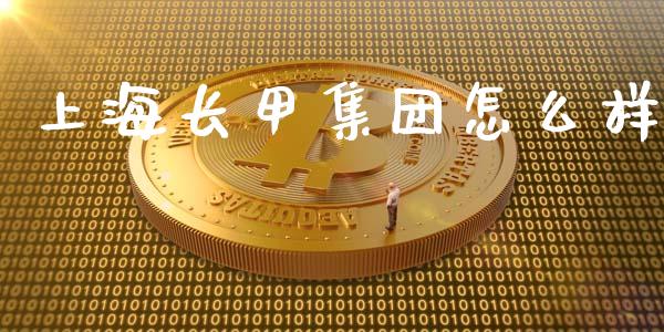 上海长甲集团怎么样_https://m.letulww.com_期货开户保证金_第1张