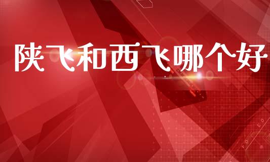 陕飞和西飞哪个好_https://m.letulww.com_股指期货交易时间_第1张
