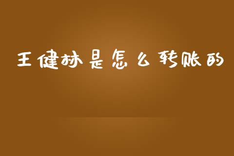 王健林是怎么转账的_https://m.letulww.com_期货交易软件_第1张