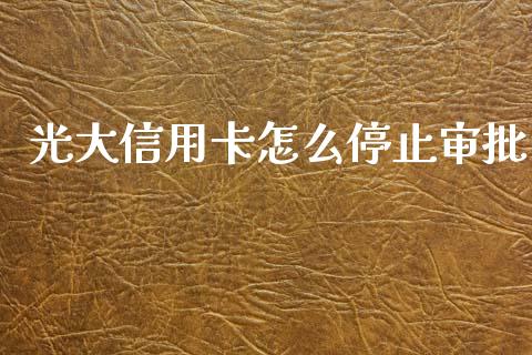光大信用卡怎么停止审批_https://m.letulww.com_期货交易软件_第1张