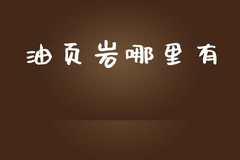 油页岩哪里有_https://m.letulww.com_股指期货交易时间_第1张