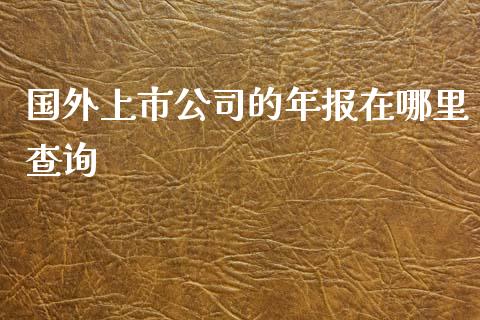国外上市公司的年报在哪里查询_https://m.letulww.com_期货开户保证金_第1张
