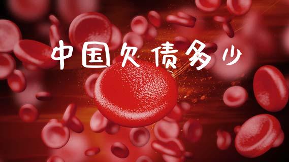 中国欠债多少_https://m.letulww.com_股指期货交易时间_第1张