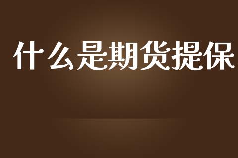 什么是期货提保_https://m.letulww.com_期货开户保证金_第1张