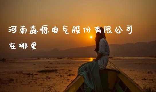 河南森源电气股份有限公司在哪里_https://m.letulww.com_期货交易策略_第1张