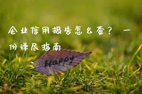企业信用报告怎么查？ 一份详尽指南_https://m.letulww.com_期货交易策略_第1张