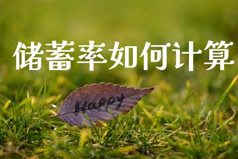 储蓄率如何计算_https://m.letulww.com_期货开户保证金_第1张