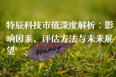 特辰科技市值深度解析：影响因素、评估方法与未来展望_https://m.letulww.com_期货交易策略_第1张