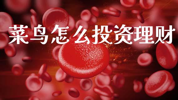 菜鸟怎么投资理财_https://m.letulww.com_期货交易软件_第1张