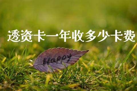 透资卡一年收多少卡费_https://m.letulww.com_期货交易软件_第1张